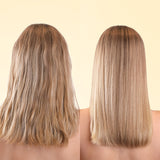 Volume Shampoo | Pro Size