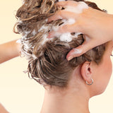 Volume Shampoo | Pro Size